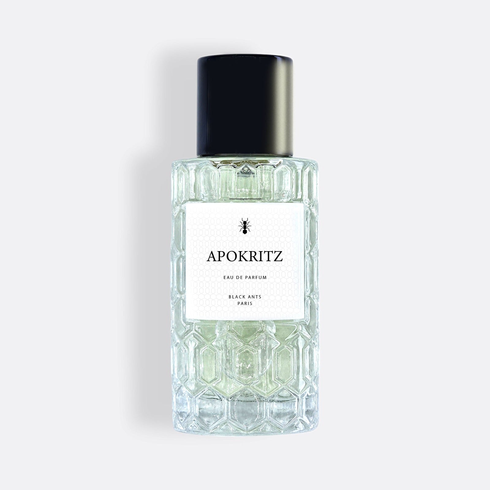 Apokritz